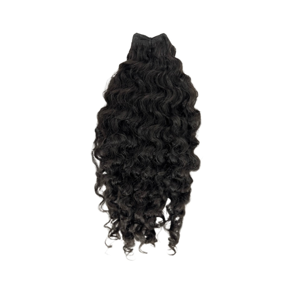 Burmese Curly