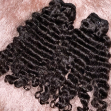 Burmese Curly